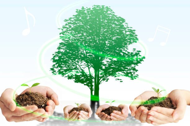 Environmental Responsibility