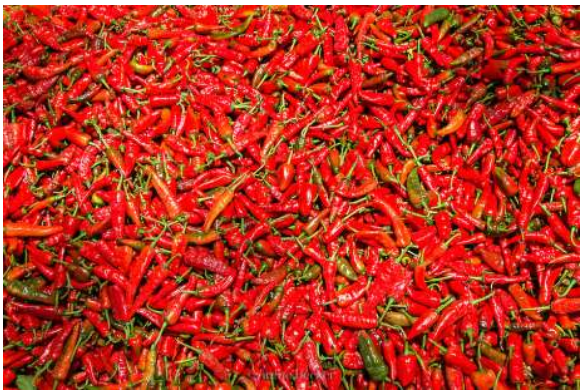 Our pepper ranks among the best in the market.We guarantee steady supplies.